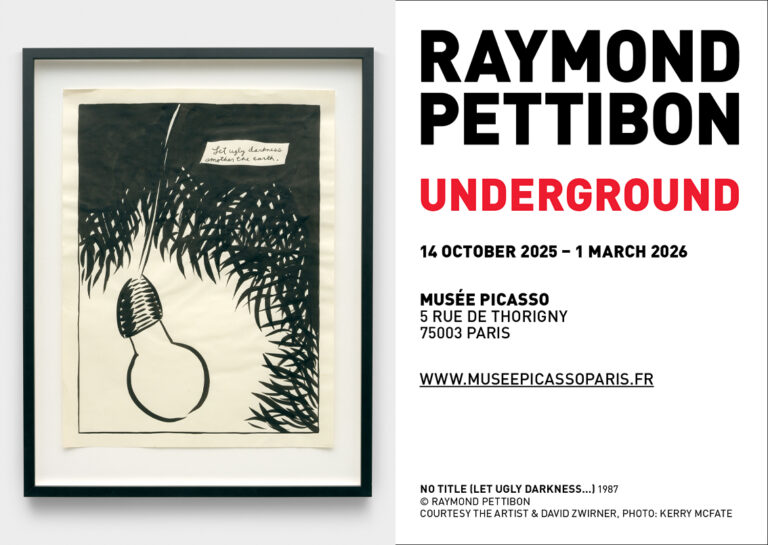 RAYMOND PETTIBON @ Musée Picasso Paris 