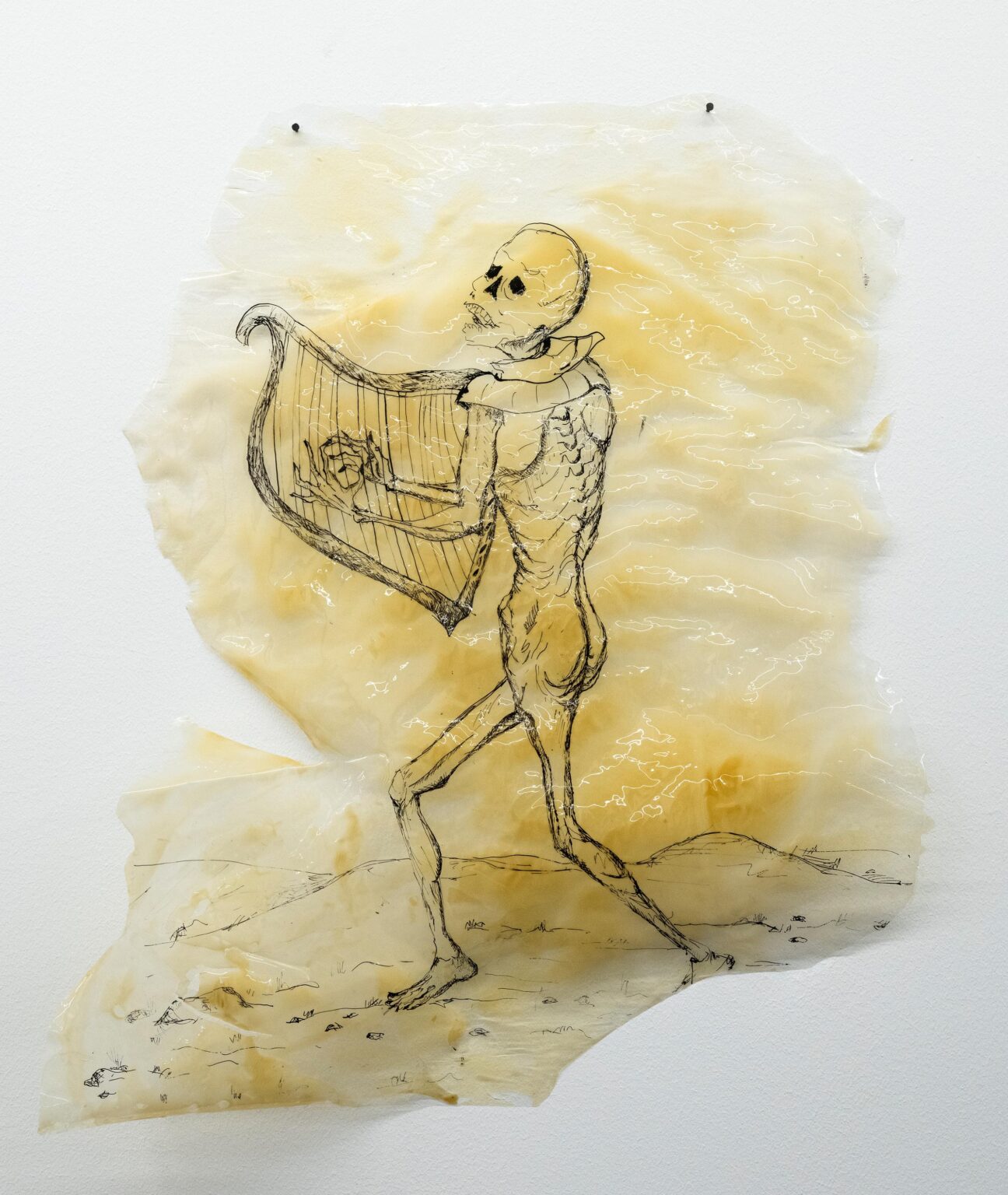 &ldquo;Purify/Rot (1)&rdquo; - Elin Gonzalez 
