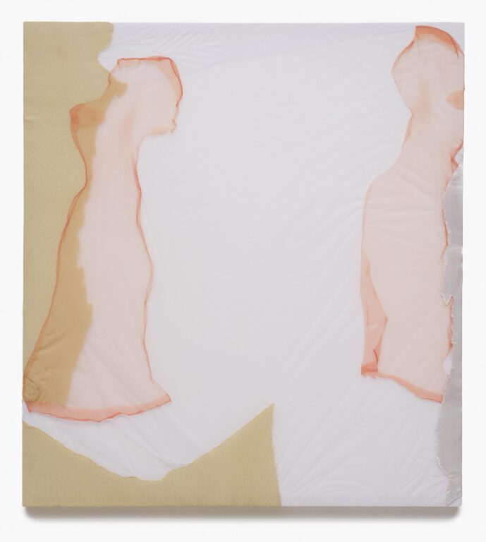 “Somnabul” - Anna Virnich 