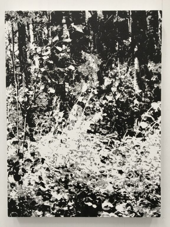 Summer - James Chronister 