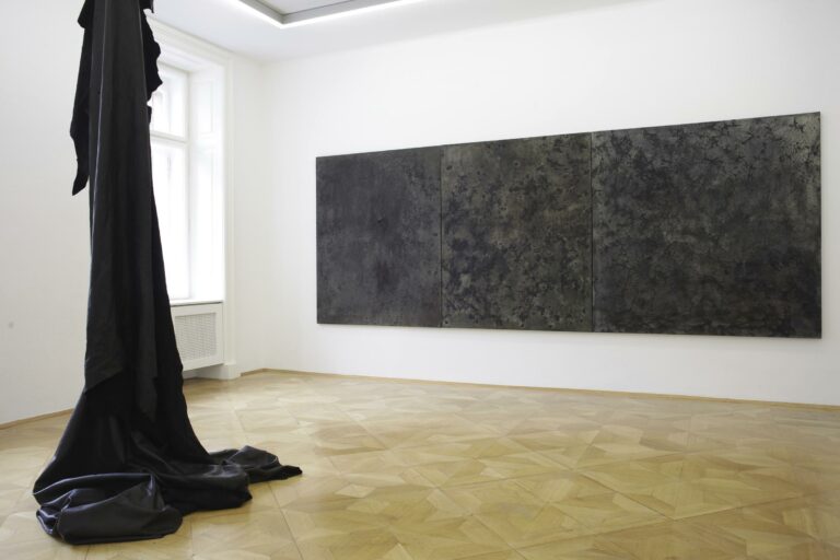 installation view - Anneliese Schrenk 