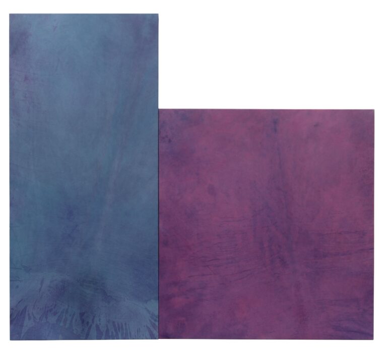 Kung Fu (diptych) - Anneliese Schrenk 
