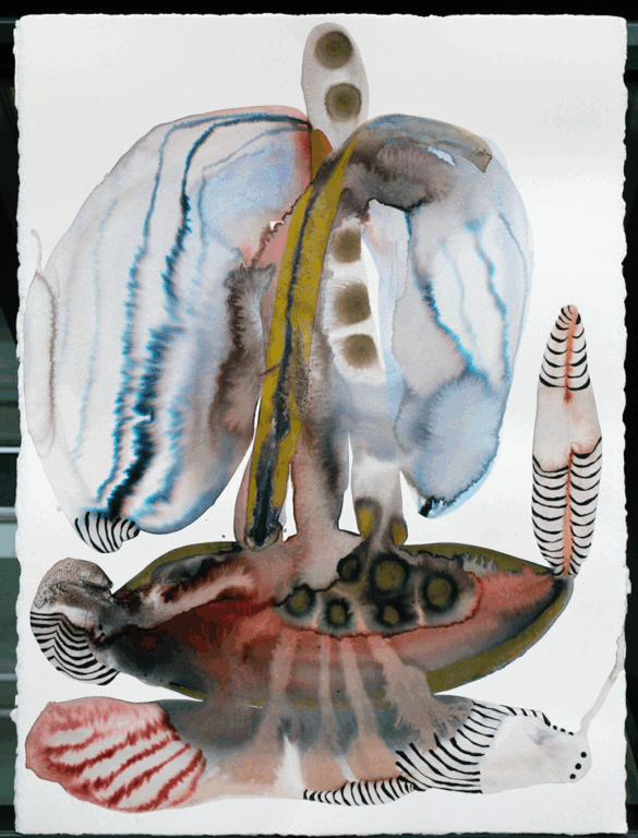 Seraphim I - Zebra Kadebra 