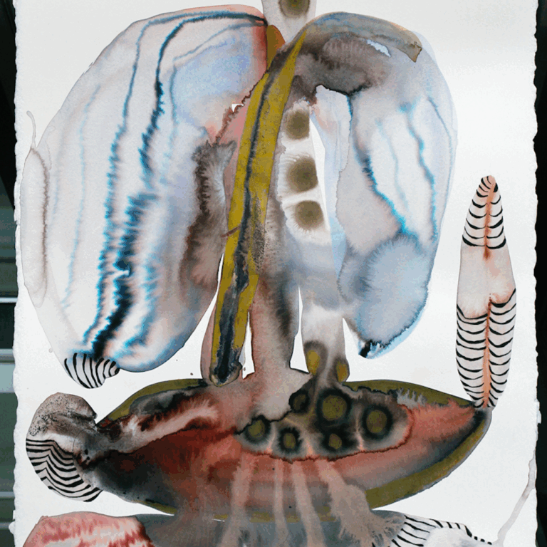 Seraphim I - Zebra Kadebra 