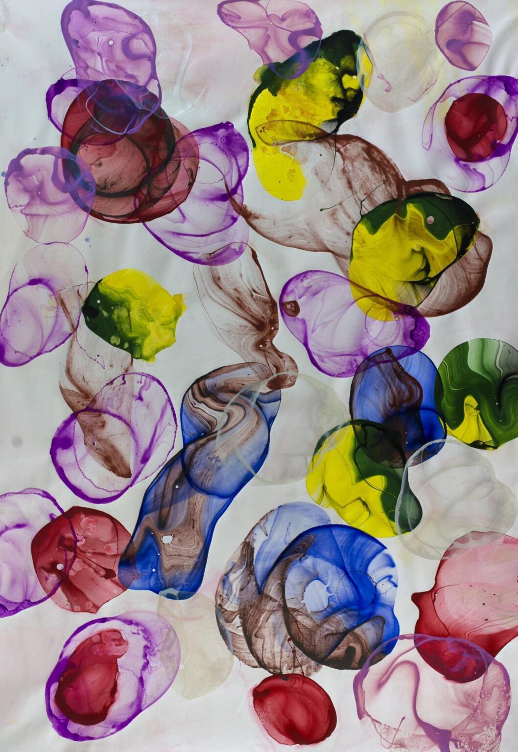 Jamaika Achate - Jiri Dokoupil 