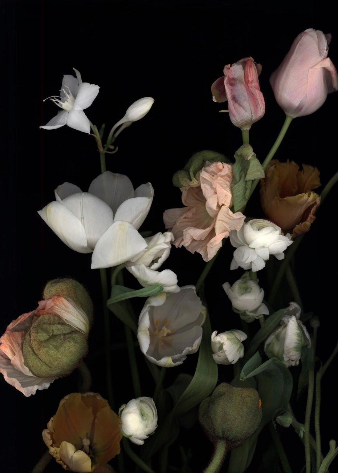 Stockage 172 - Luzia Simons 