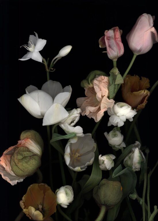 Stockage 172 - Luzia Simons 