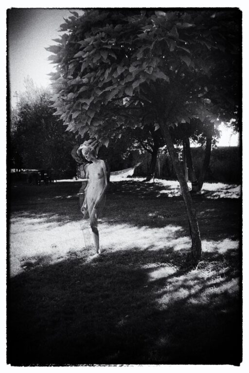 La Catalpa - Karin Szekessy 