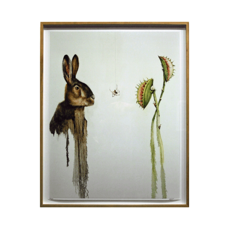 The Translator - Kevin Earl Taylor 