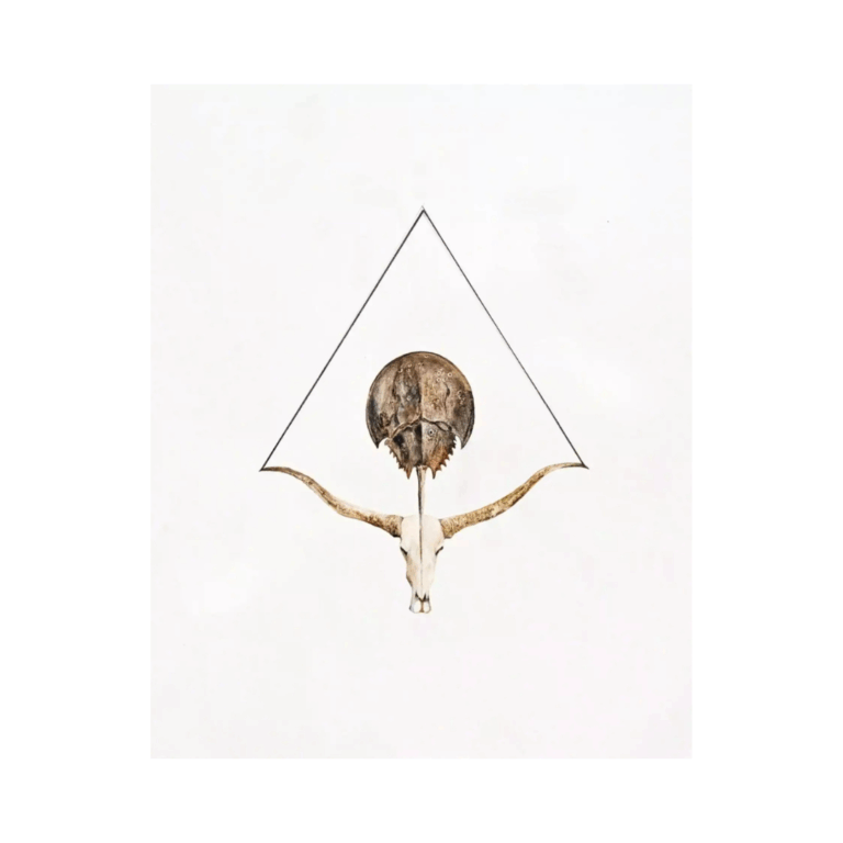 Entity - Kevin Earl Taylor 