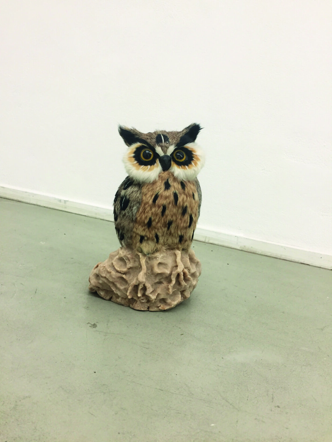 Am Rupfplatz - Nadine Lohof 