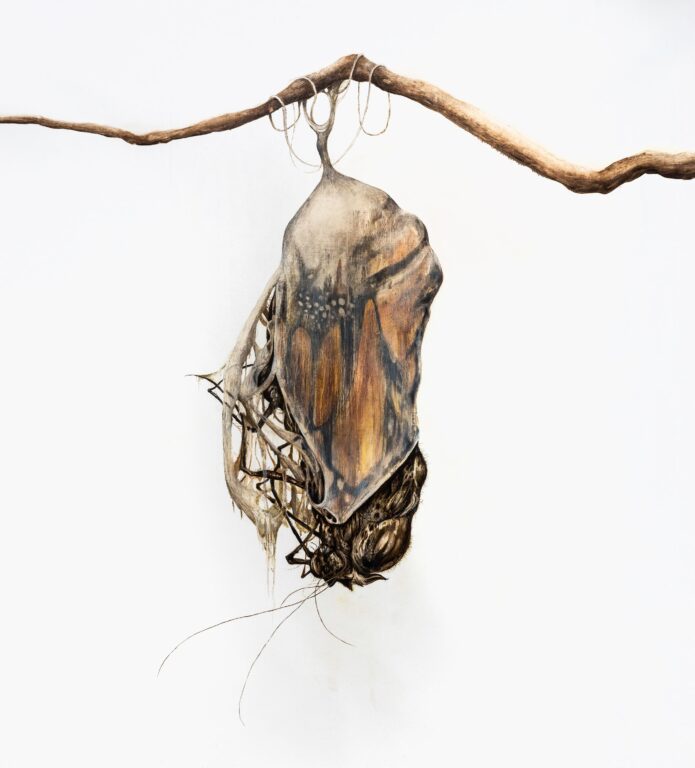 CHRYSALIS - Kevin Earl Taylor 