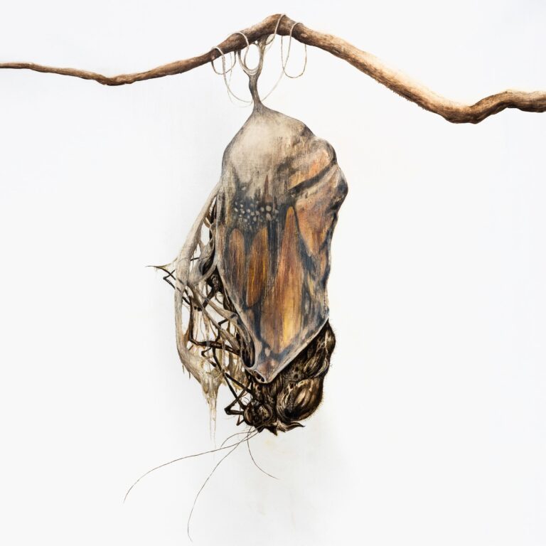 CHRYSALIS - Kevin Earl Taylor 