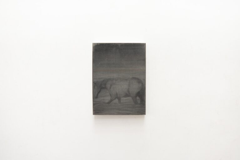 Horse in water / Nondual - Ricky Lee Gordon 