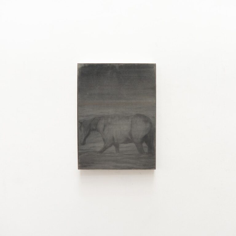 Horse in water / Nondual - Ricky Lee Gordon 