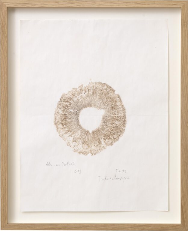 Trottoir Champignon, Adam- von- Trott- Str. 013 - Klaus Weber 