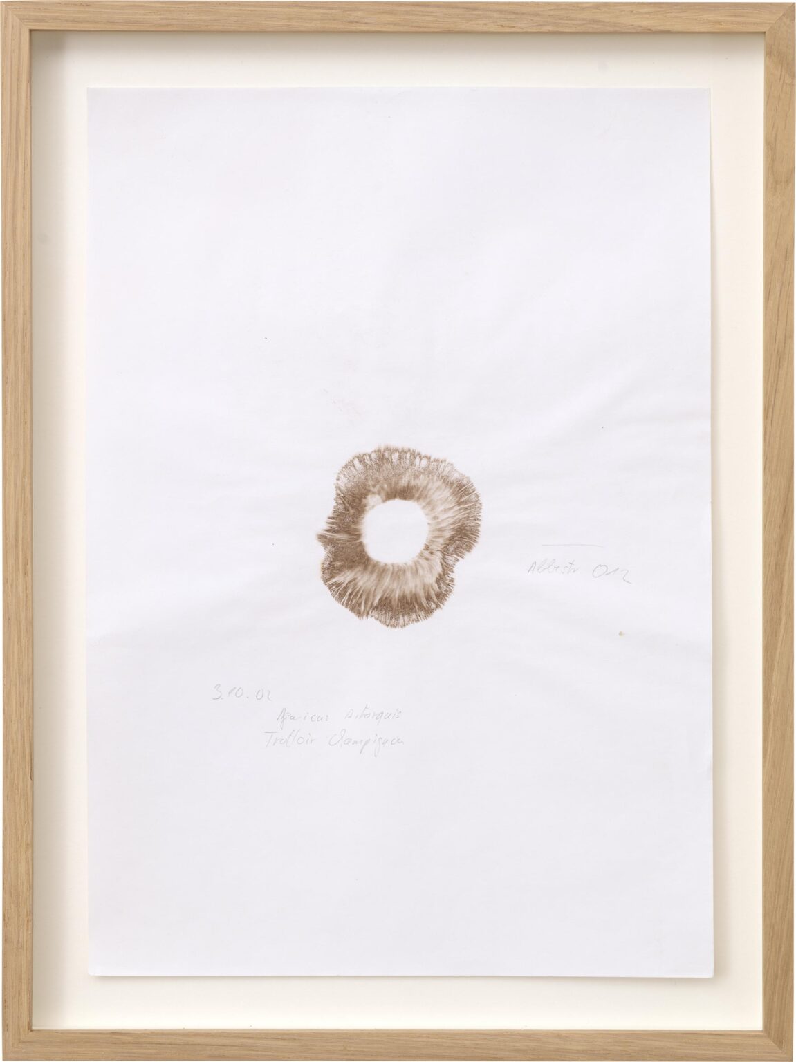 Trottoir Champignon, Abbestr. 012 - Klaus Weber 