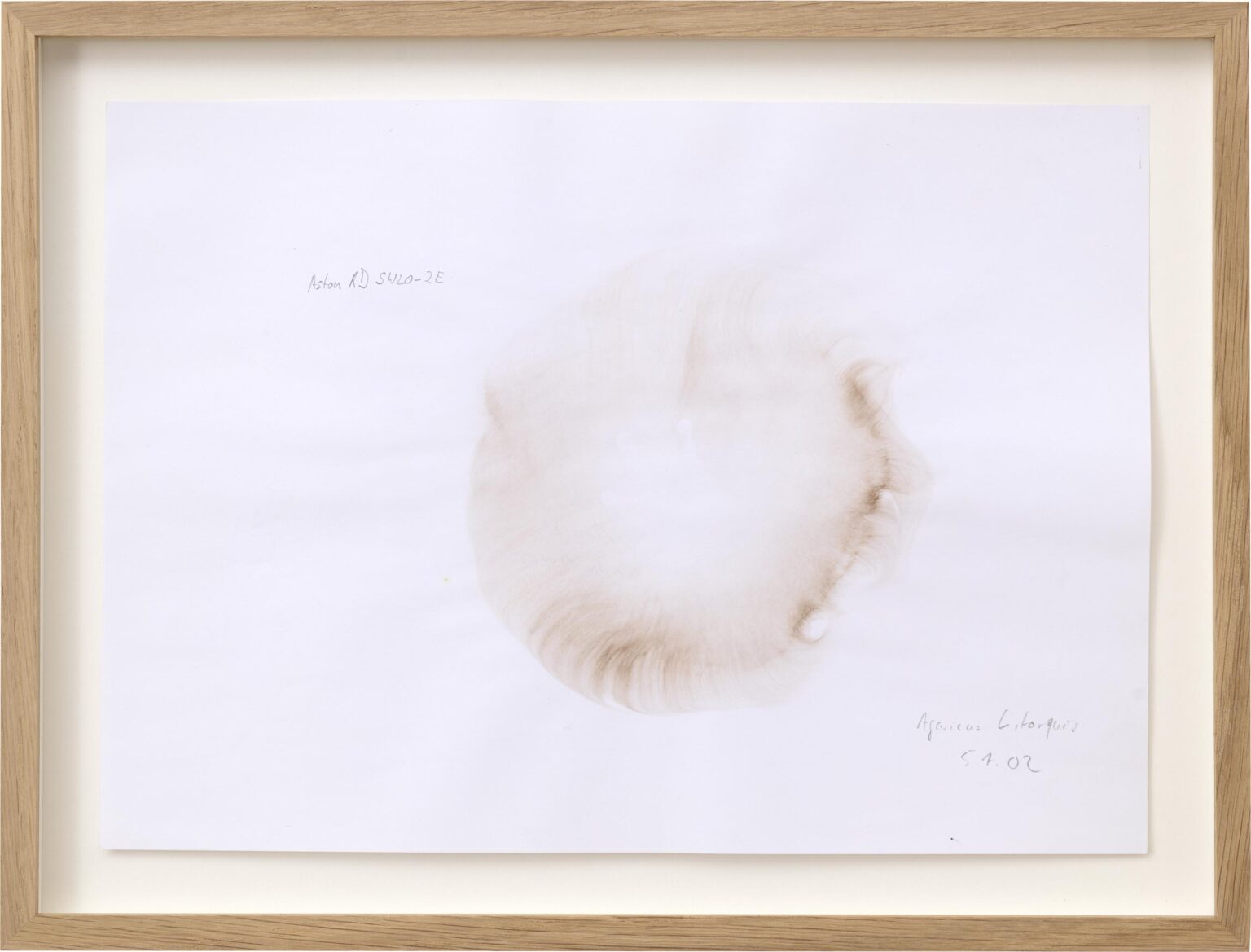 Aston RD SWLO- 2E - Klaus Weber 