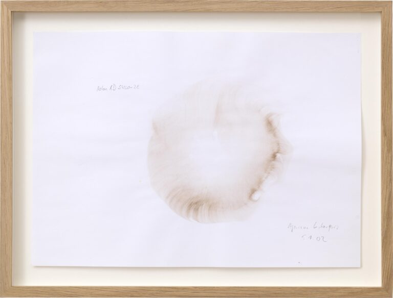 Aston RD SWLO- 2E - Klaus Weber 