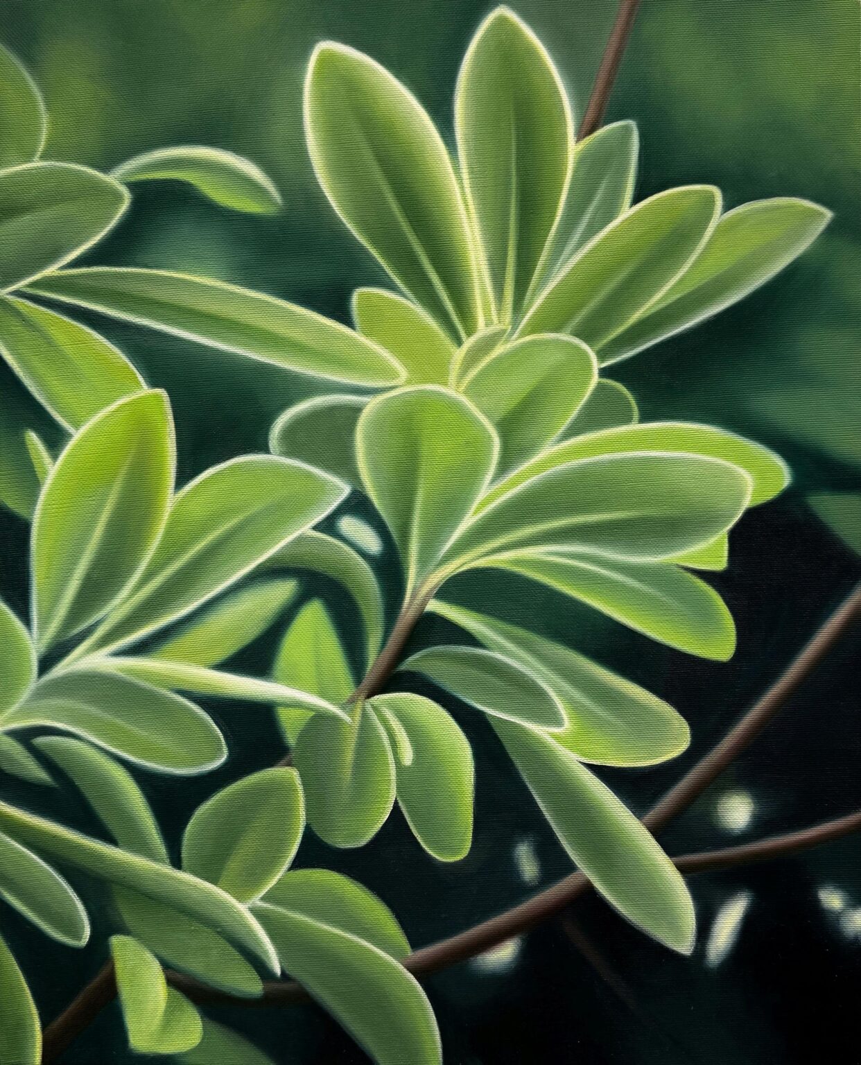 &bdquo;ohne Titel&ldquo; - Lara Eckert ohne Titel. &Ouml;l auf Leinwand. 50 x 40cm