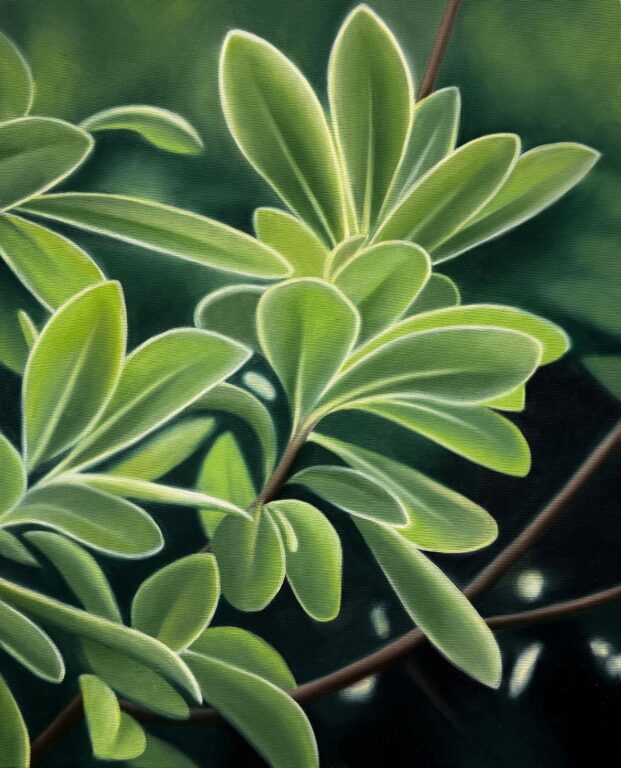 „ohne Titel“ - Lara Eckert ohne Titel. Öl auf Leinwand. 50 x 40cm