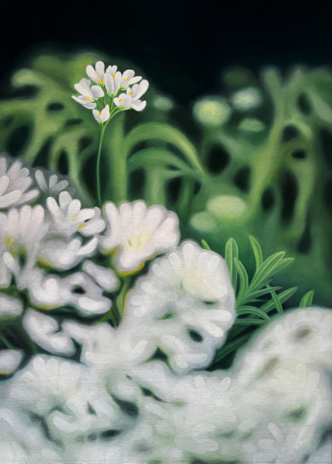 ohne Titel - Lara Eckert 