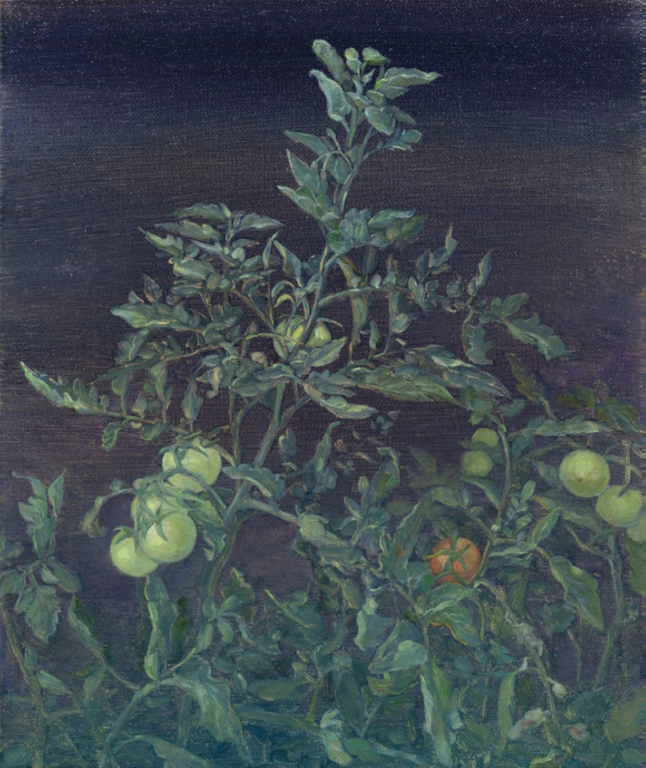 „Tomatoes in the Oasis“ - Eun Lee Eun Lee., Öl auf Leinwand.  40 x 33 cm.