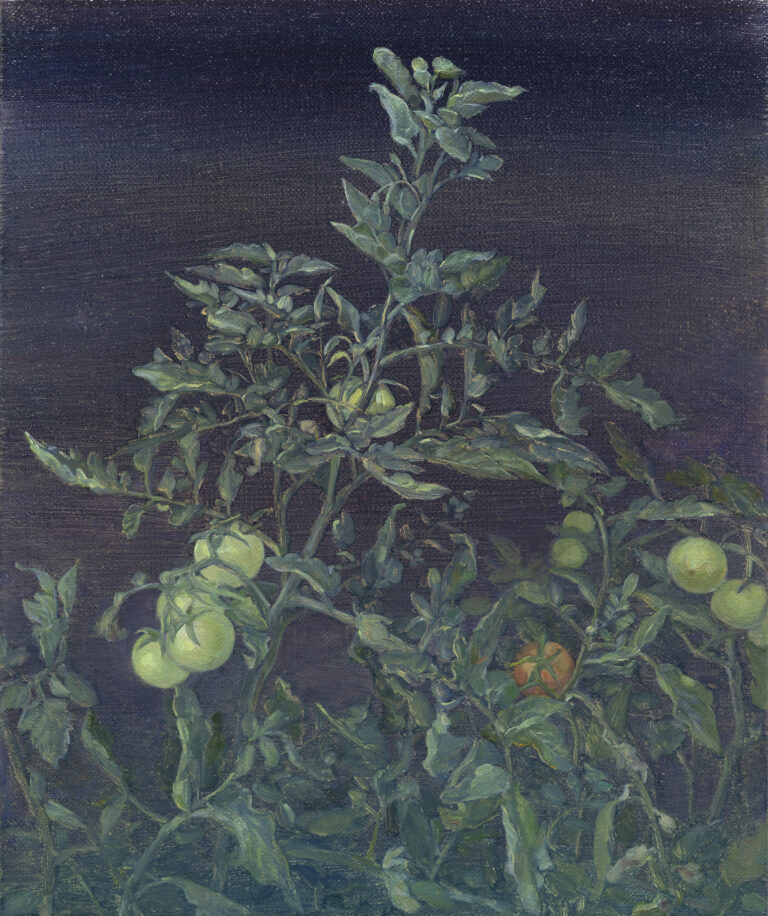 1. Tomatoes in the Oasis, oil on linen, 40x30cm, 2025