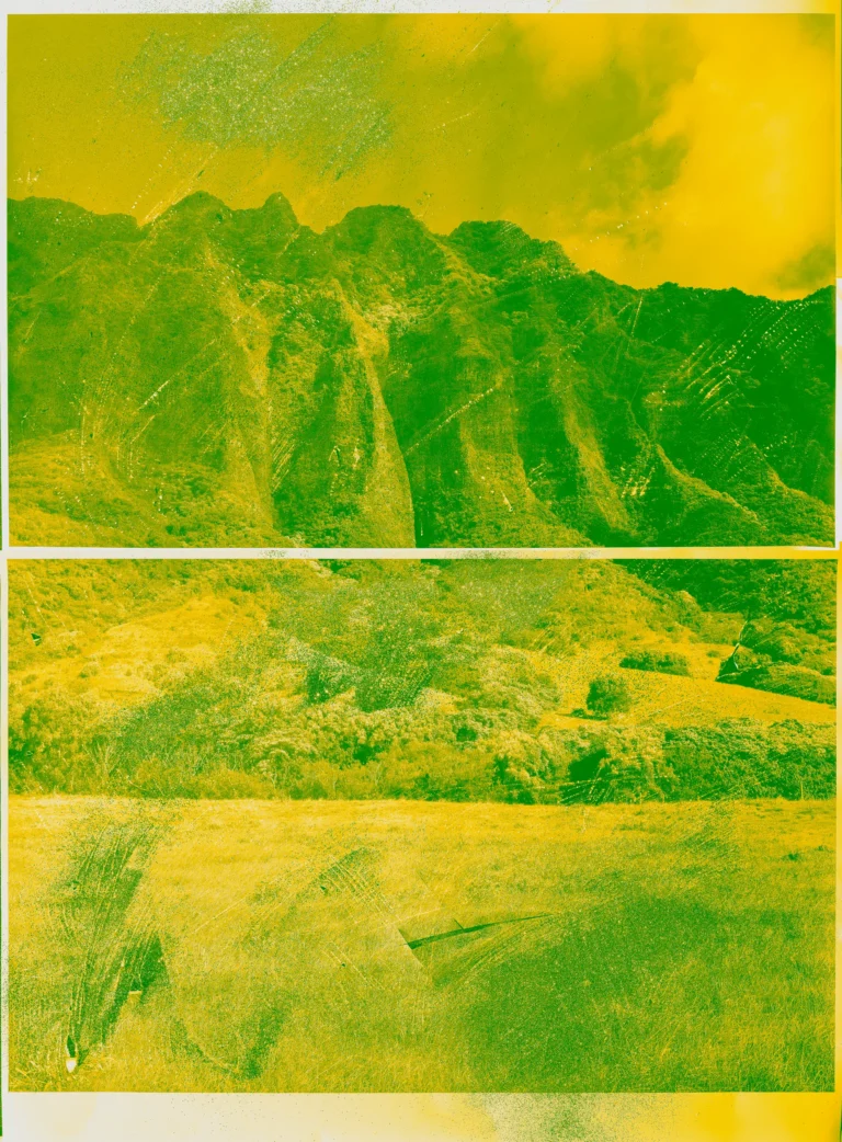 Reciprocity 05 Mauren Brodbeck 01