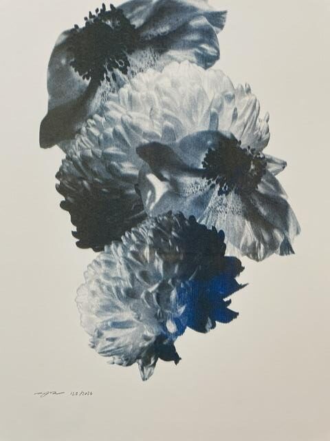 „Untitled“ - Mauren Brodbeck A3
