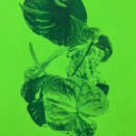 A3
