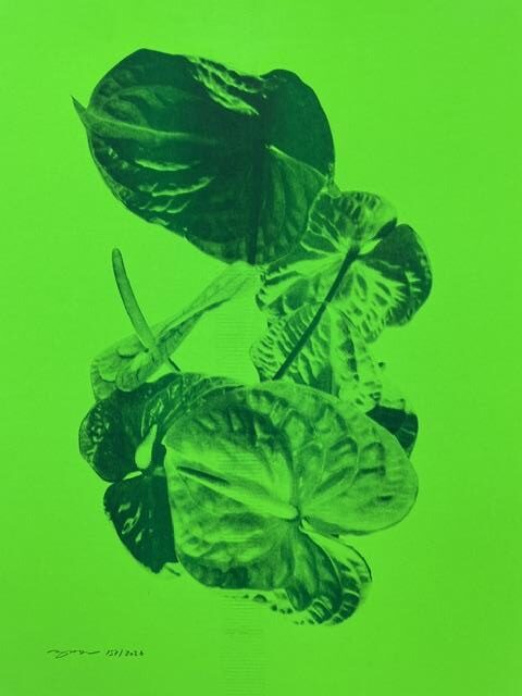 „Untitled“ - Mauren Brodbeck A3