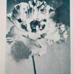 A3