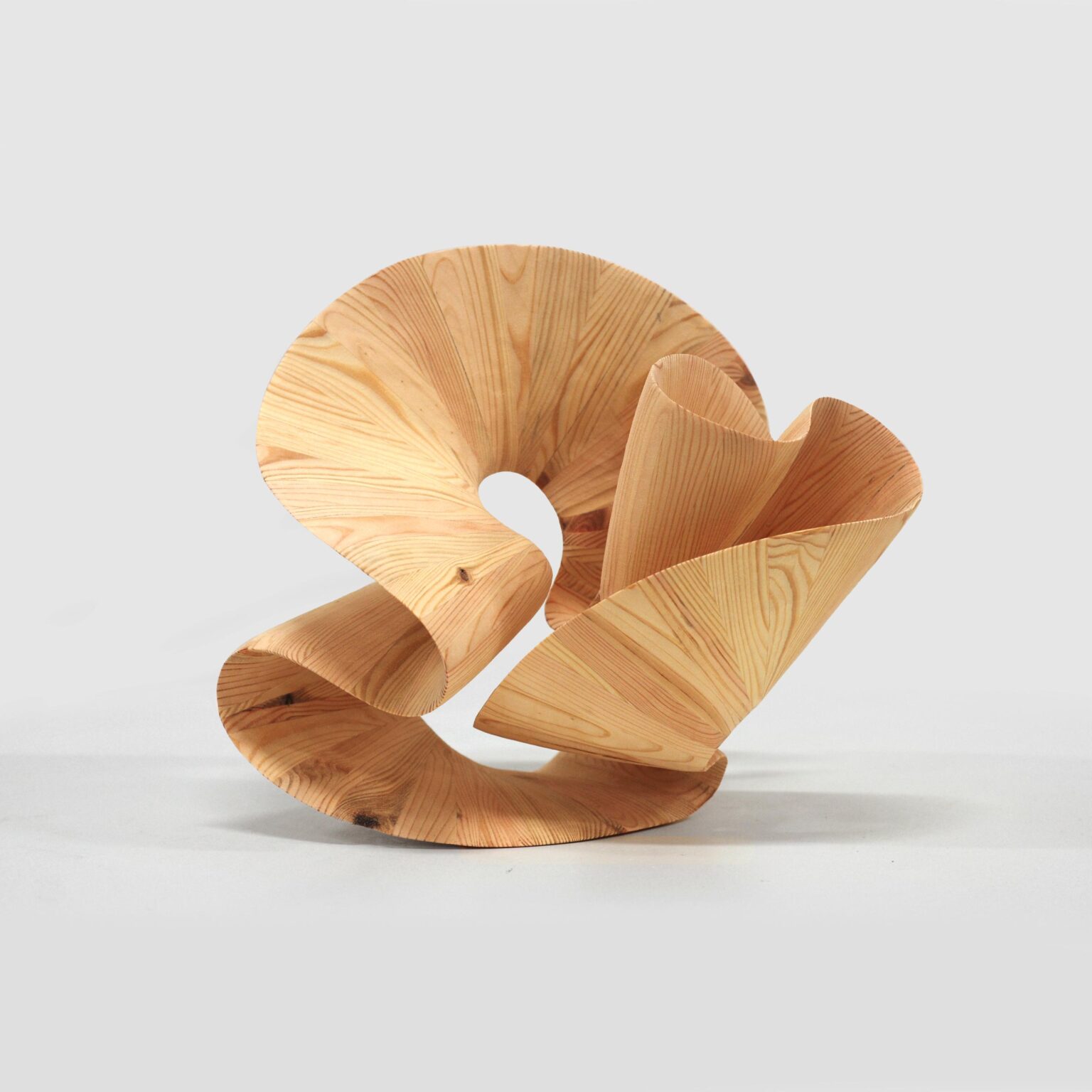 M&ouml;bius Rhythm No 7 - Koloman Wagner 