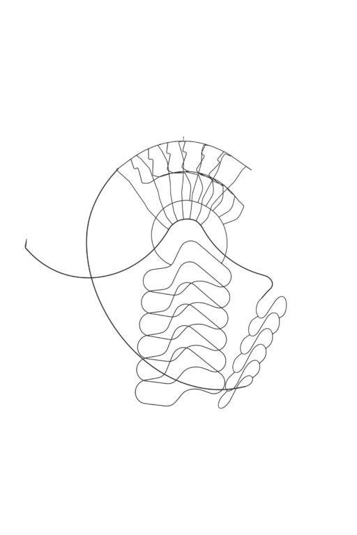 U6 “Fossile” - Constantin Luser 