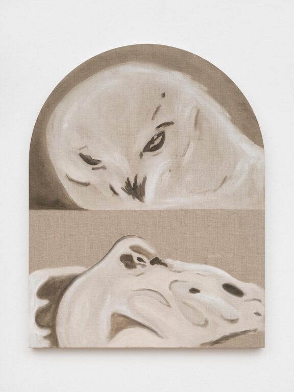 Ornithology N°4 - Anouk Lamm Anouk 