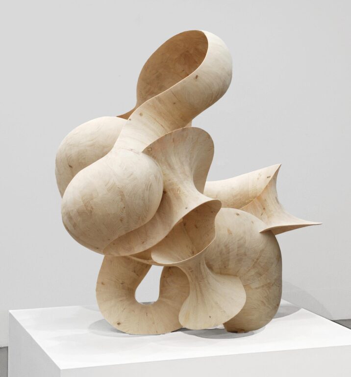 Boomerang - Koloman Wagner 