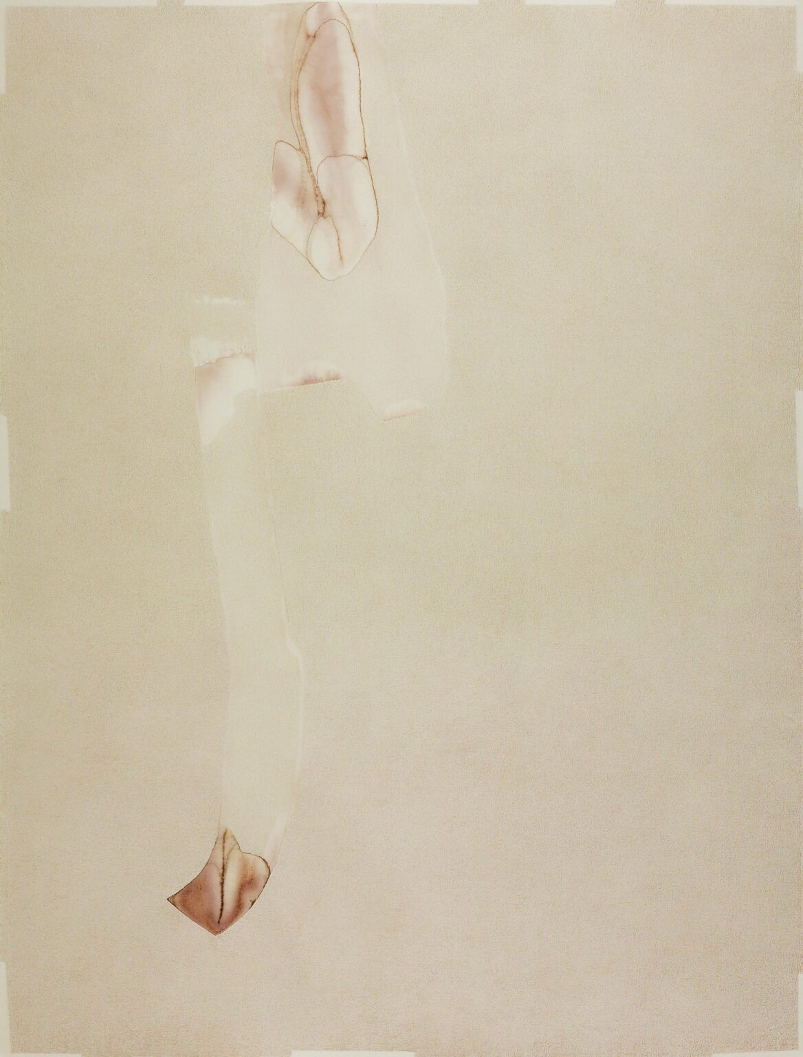 Leib_gr_05 - Sevda Chkoutova 