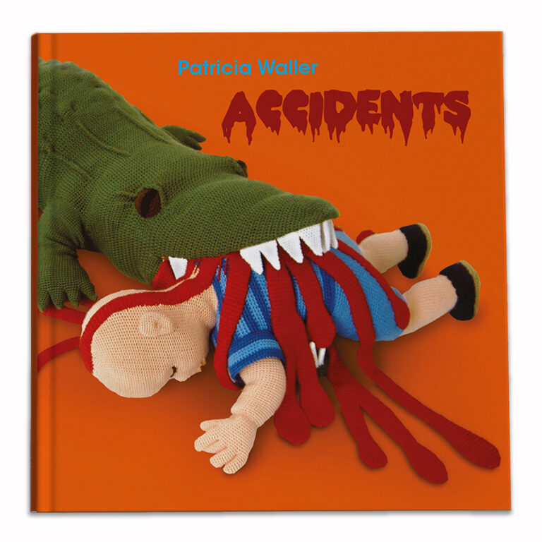 Patricia Waller. Accidents 
