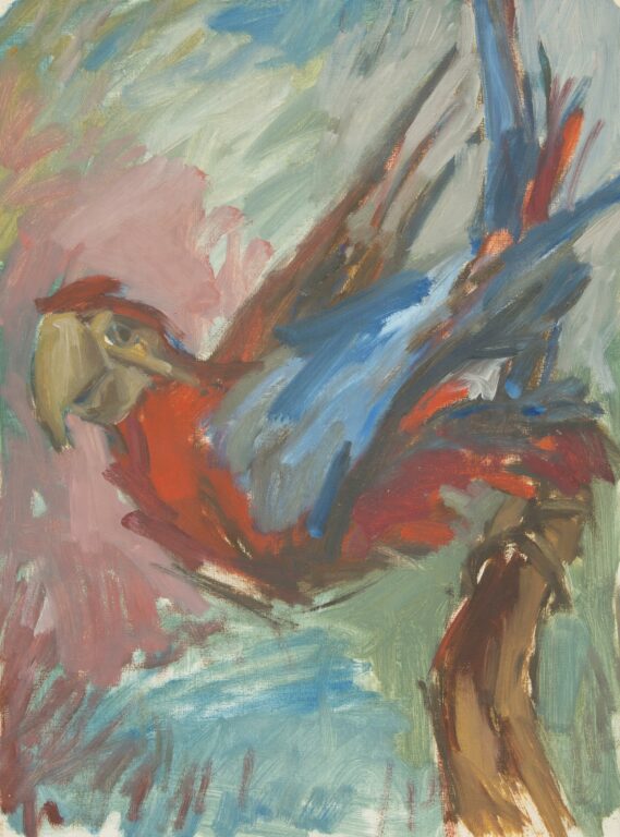 untitled (parrot) - Gast MICHELS 