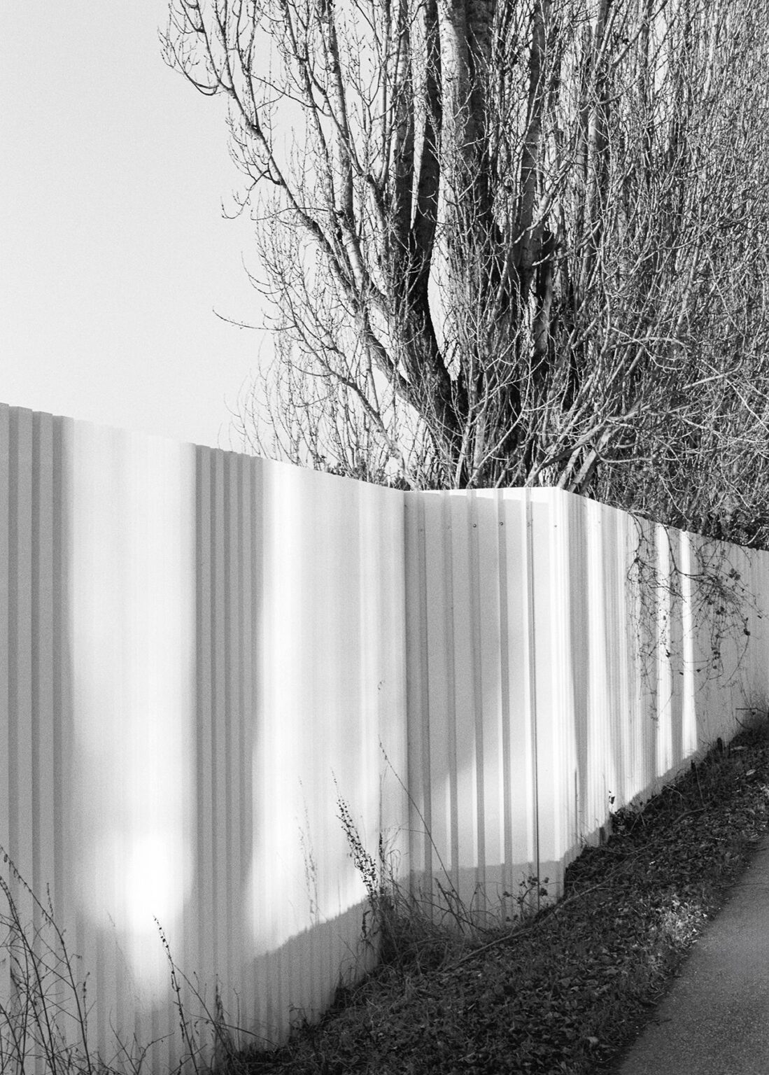 Fence - Julia Smirnova Julia Smirnova, Julia Smirnova