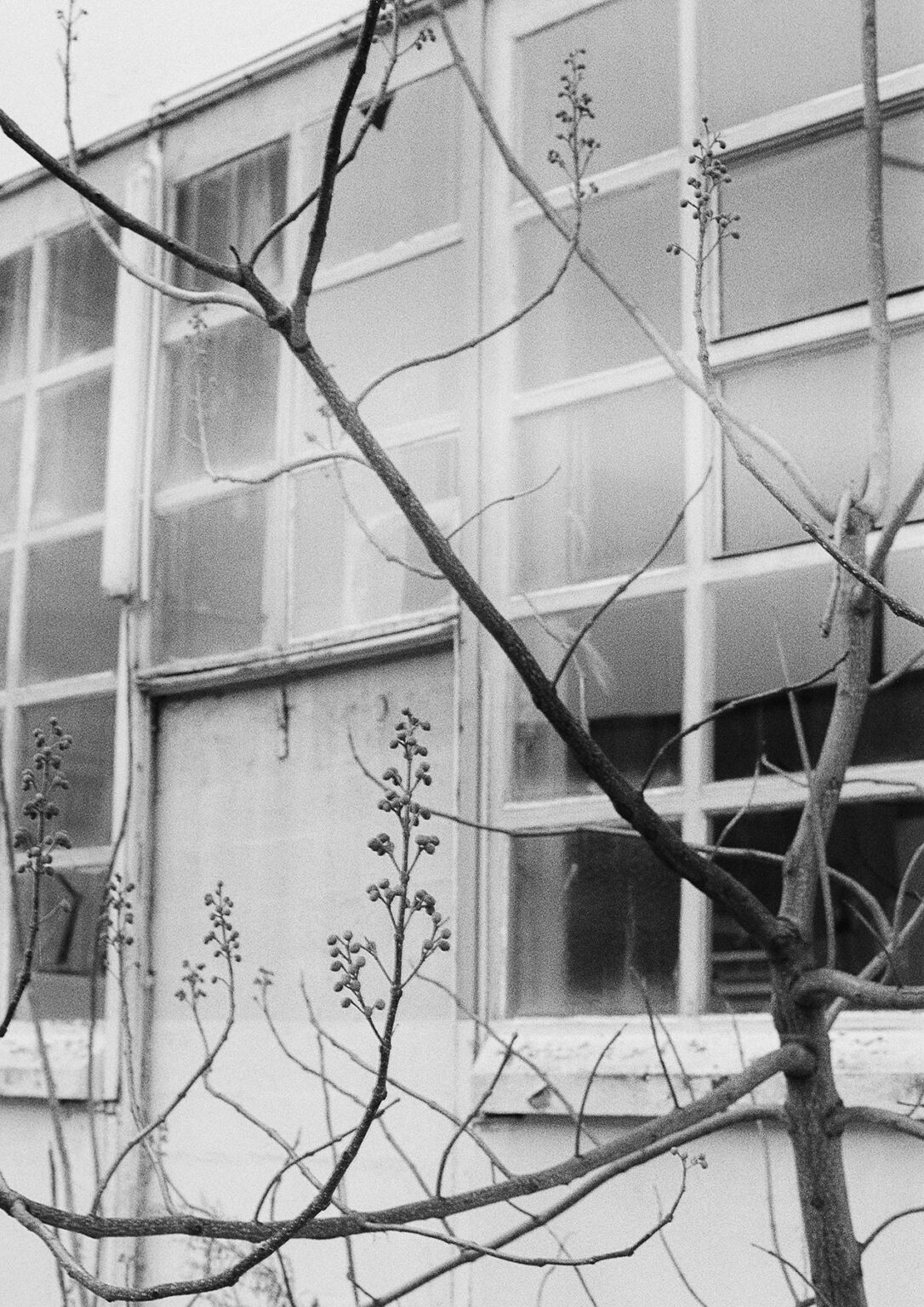 Windows 2 - Julia Smirnova Julia Smirnova, Julia Smirnova