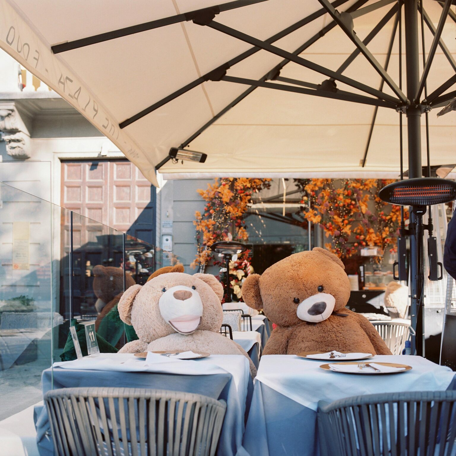 Bears - Julia Smirnova Julia Smirnova, Julia Smirnova