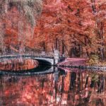 arToxin GalleryMichael Nischke