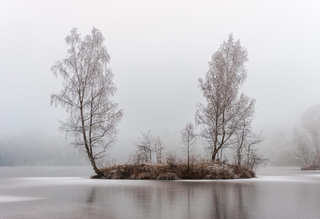 Wojtek Sperl Wojtek Sperl, Wojtek Sperl