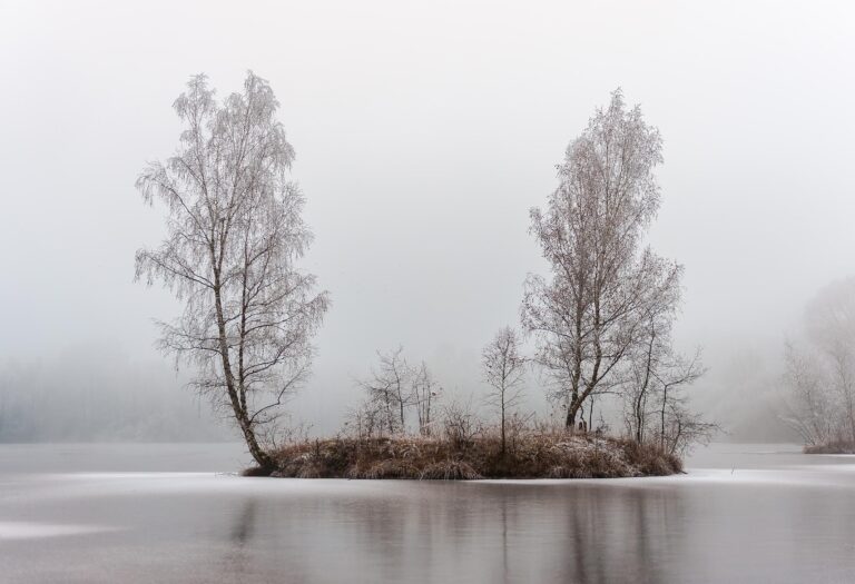 Wojtek Sperl Wojtek Sperl, Wojtek Sperl