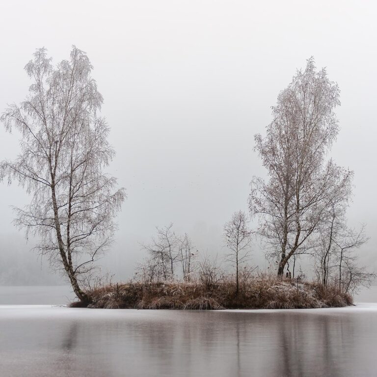 Wojtek Sperl Wojtek Sperl, Wojtek Sperl