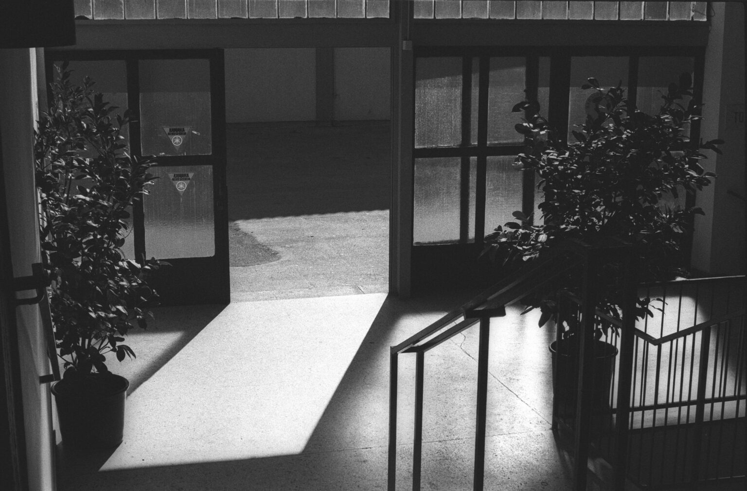 Finissage Bewunderungen | Verwunderungen 