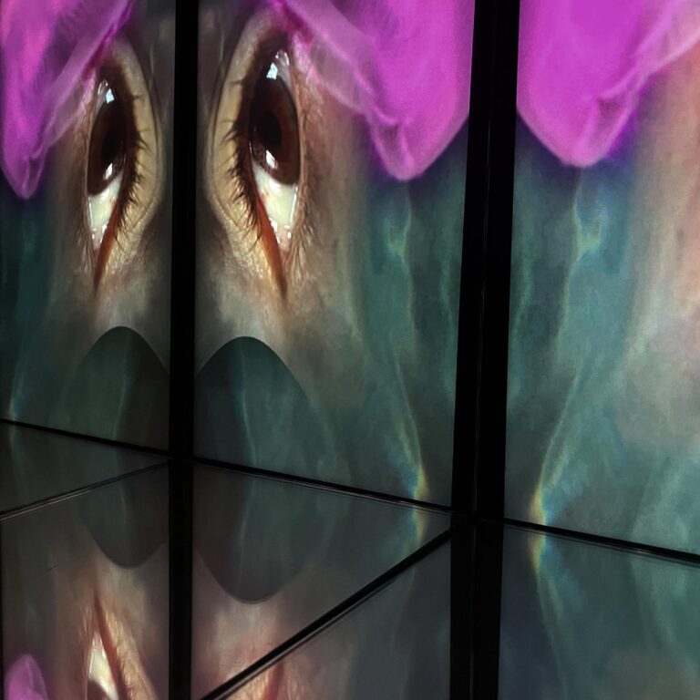 ELEMENTS - Carmen Kordas Carmen Kordas, Carmen Kordas, Videoinstallation „Das Bad“
Verspiegelter Schubladenkasten
plus Monitor (67x28cm), 
HD 1920x1080 one channel Video,
Audio 5Min