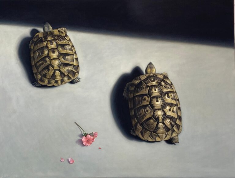 Die Sonnenträgerin - Martina von Schulthess 